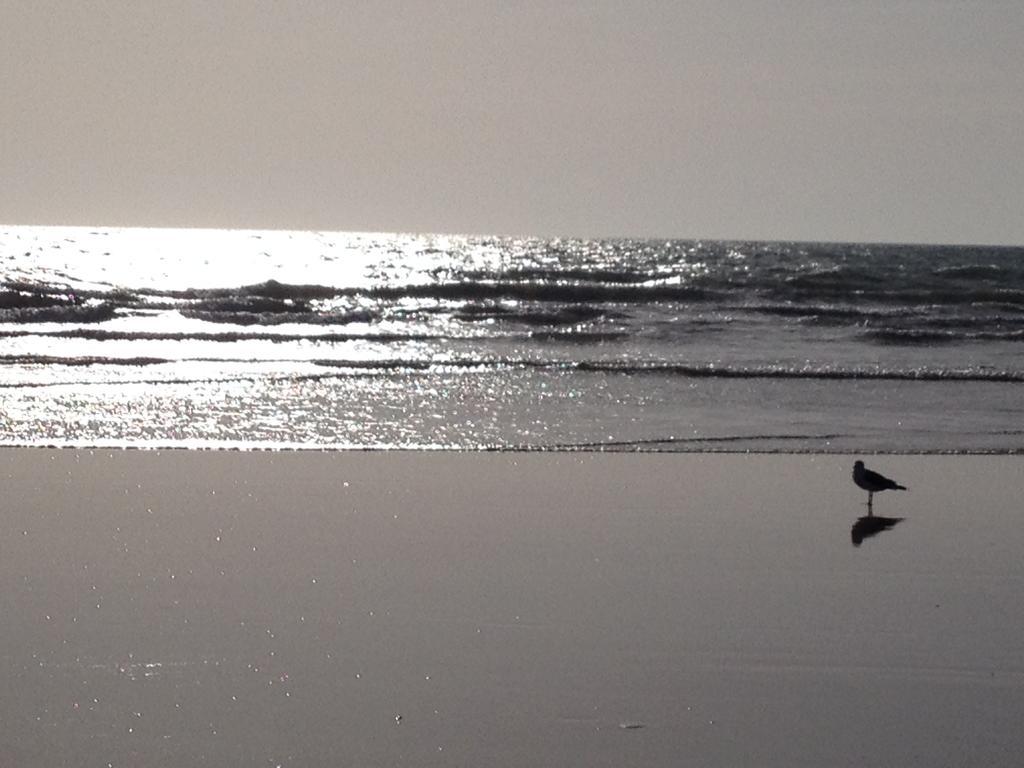 Vendee Vue Mer Сент-Илер-де-Рье Экстерьер фото